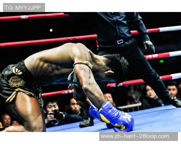 一龙与播求巅峰对决谁将成为武林新王荣耀之战即将开启 一龙与播求巅峰对决谁将成为武林新王荣耀之战即将开启